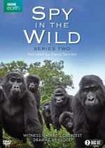Spy in the Wild: Series 2