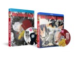 One Punch Man Season 2 (Episodes 1-12 + 6 Ovas)