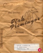 Pink Flamingos