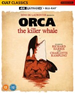 Orca