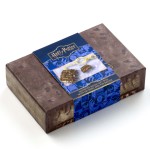 Harry Potter: Monster Book Gift Box With Monster Book Keyring and Pin Badge