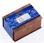 Harry Potter: Hermione Potions Gift Box With a Time Turner Necklace & Stud Earrings