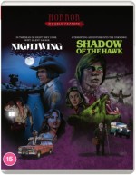 Nightwing & Shadow of the Hawk