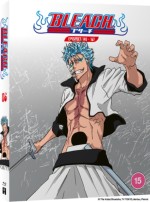 Bleach (Original) - Part 6 (Limited Standard Edi