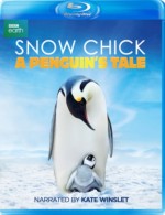 Snow Chick a Penguins Tale