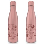 Disney Princess: Thirsty Work (Metal Drinks Bottle)