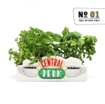 Friends: (Central Perk) Table Top Vase