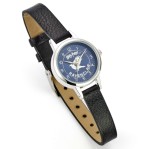 Harry Potter: Ravenclaw House Watch