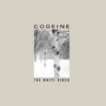 The White Birch