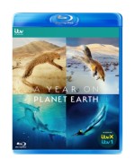 A Year on Planet Earth