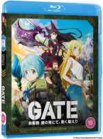 Gate - Standard