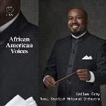 African American Voices