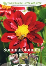 Trädgårdsskolan / Sommarblommor