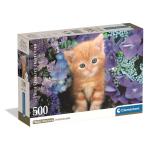 500 pcs CB HQC Ginger Cat