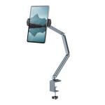 DESIRE2 Flex Arm Tablet Mount for 12.9" Silver