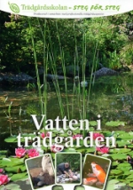 Trädgårdsskolan / Vatten i trädgården