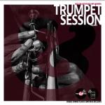 Vinyl And Media - Trumpet Session Vol 1