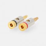 Nedis Banana Connector | Rak | Hane | Guldplaterad | Skruva | Kabel input diameter: 3.0 mm | Metall | Guld | 2 st. | Kuvert