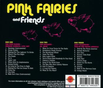 Pink Fairies and Friends