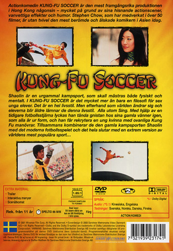 Kung Fu soccer