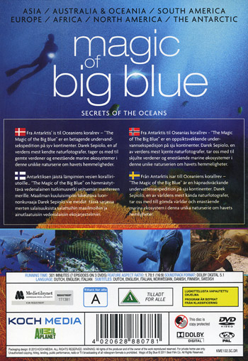 Discovery / Magic of big blue
