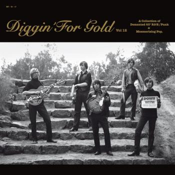 Diggin' For Gold Vol 12