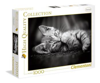 1000 pcs High Quality Collection KITTY