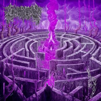 Maze Envy (Purple/Magenta)