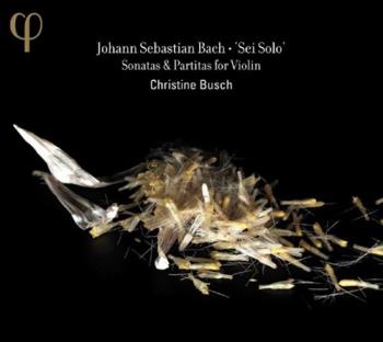 Sonatas & Partitas For Violin
