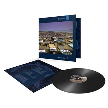 A Momentary Lapse of Reason
