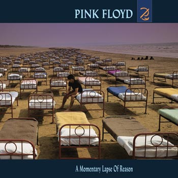 A Momentary Lapse of Reason