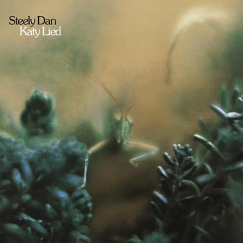 Katy lied