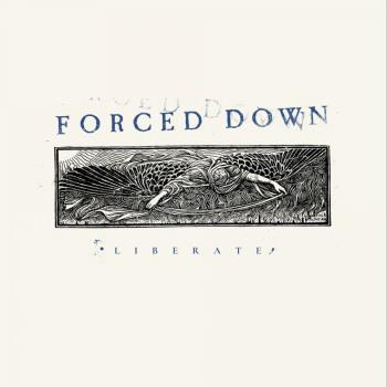 Liberate (Cloudy Clear)