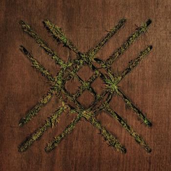 Violent Grief / Acoustic Selections