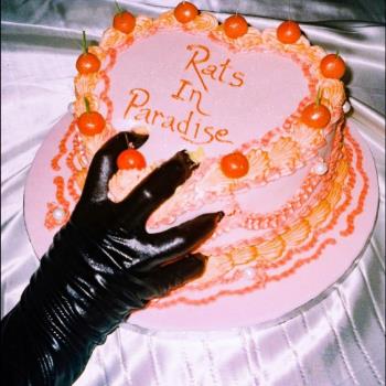 Rats in Paradise