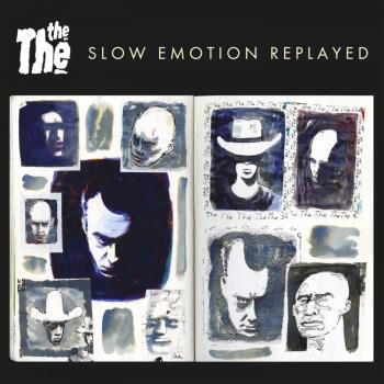 Slow Emotion Replayed