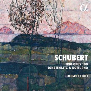 Trio Op 100 / Sonatensatz / Notturno
