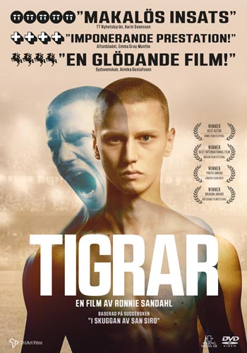 Tigrar