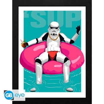 ORIGINAL STORMTROOPER - Framed print Pool Boy (30x40) x2