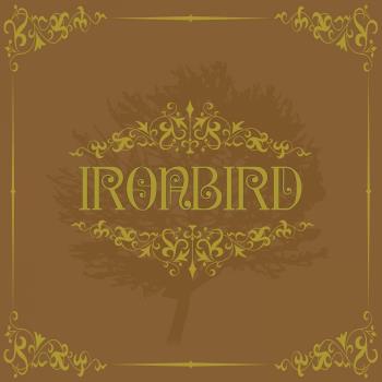 Ironbird 2017