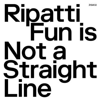 Fun Is Not A Straight Line (Clear)