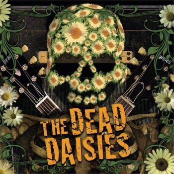 Dead Daisies (Import)