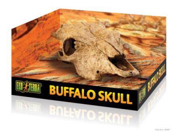 EXOTERRA - Cave Buffalo Skull