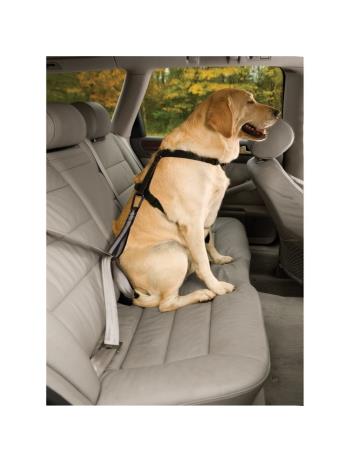 KURGO - Safety strap for the car seat belt