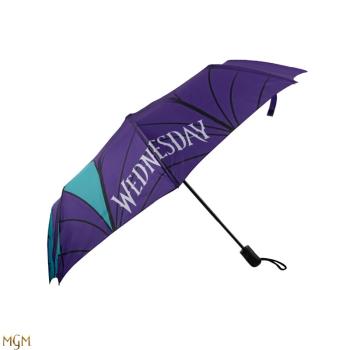Umbrella Wednesday Stained glass