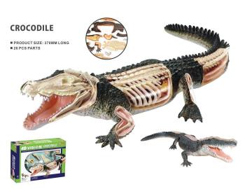 Robetoy - Animal Anatomy - Crocodile (24 cm)