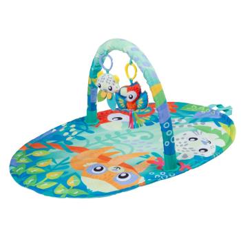 PLAYGRO - Mighty Milestones Play Gym