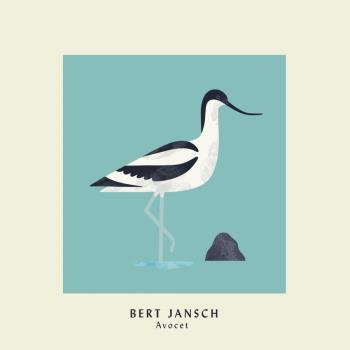 Avocet (Expanded)