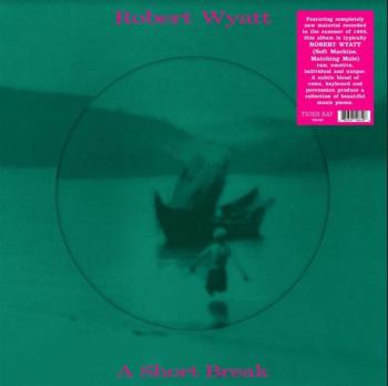 A Short Break (Picturedisc)