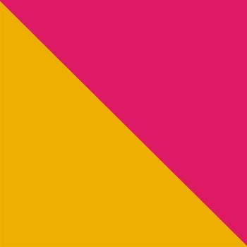 Flag (Pink/Ltd)